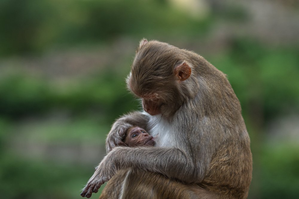 Amor a través de tus ojos
