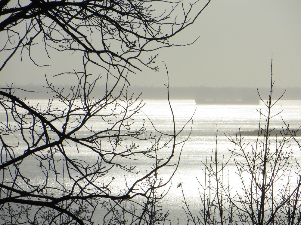 Photograph by Галина