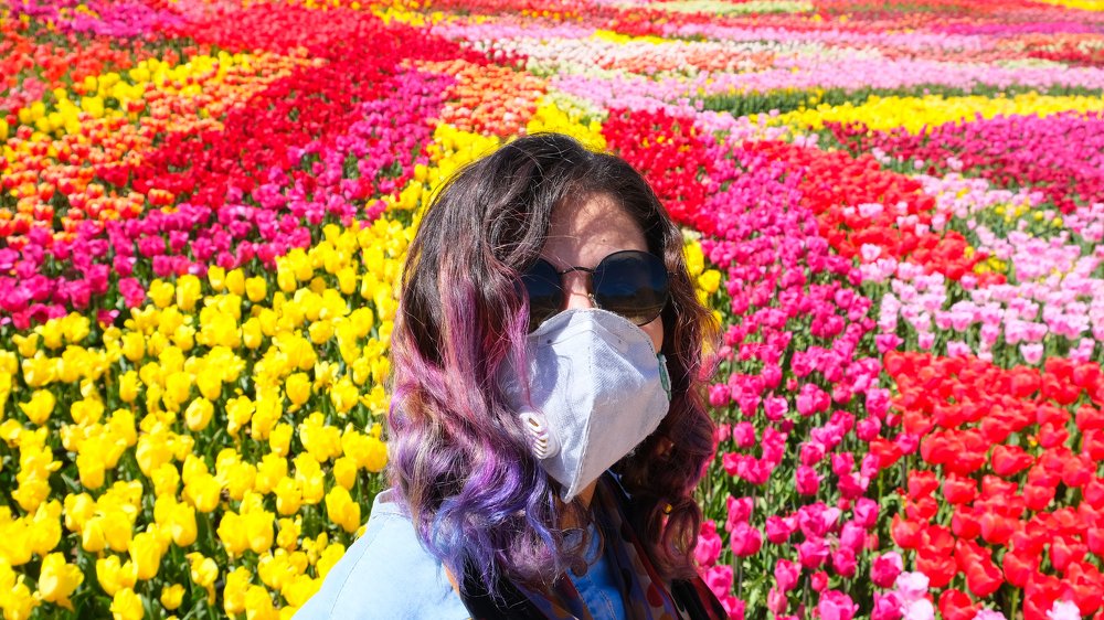 Photograph by Daniel Mehrani