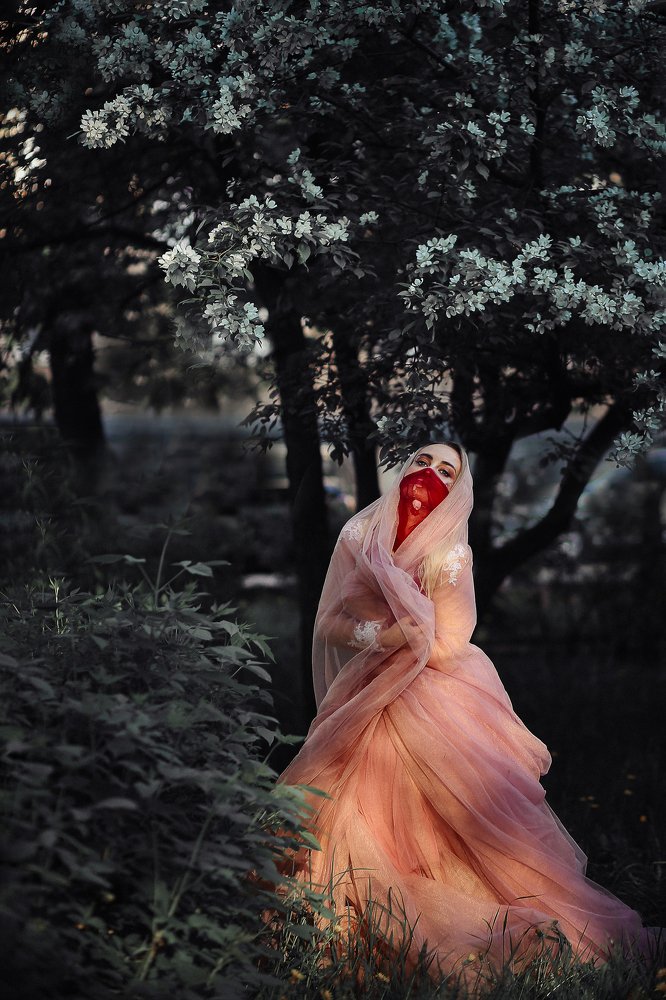 Photograph by Елена Башлыкова