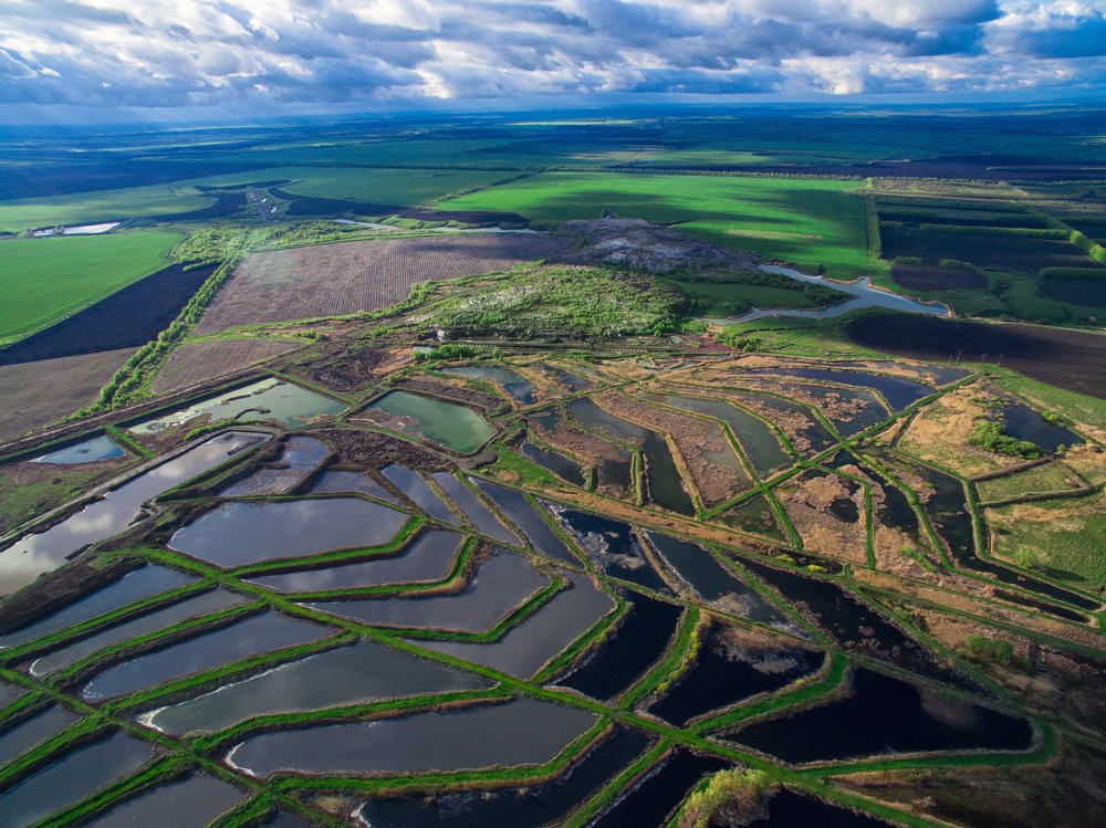 Photograph by виктория кузнецова