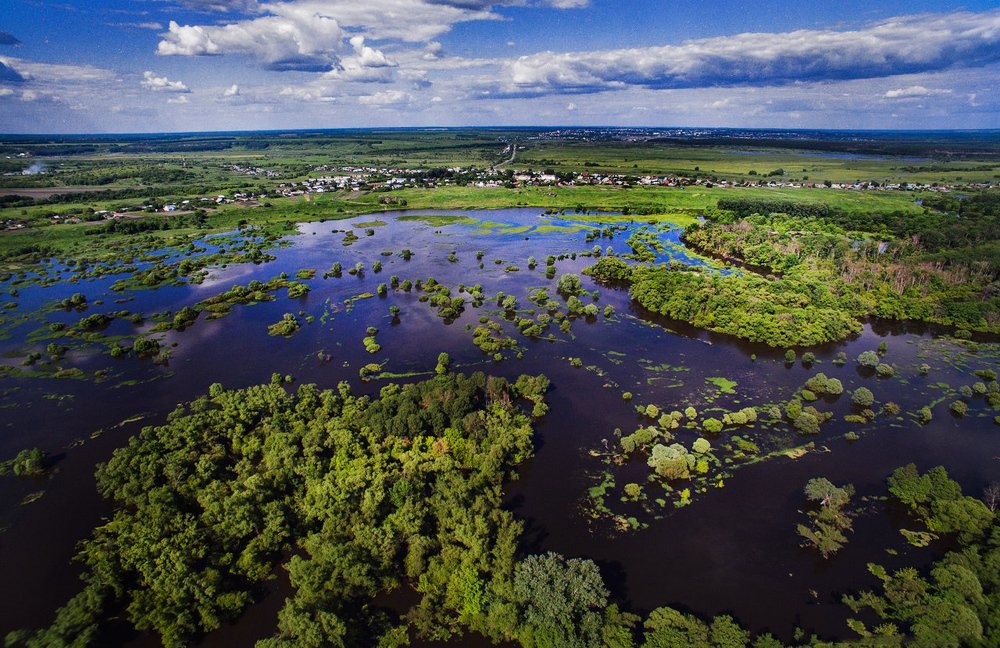 Photograph by виктория кузнецова