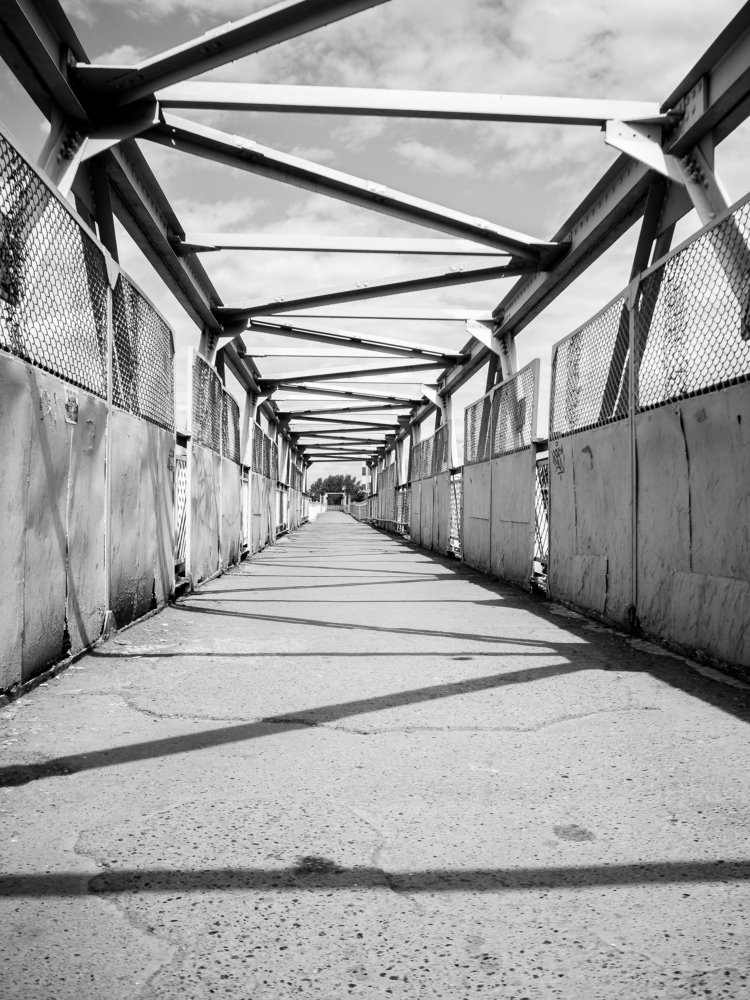 Photograph by Алена Алалыкина