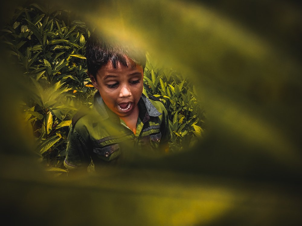 Photograph by Raufur rahim