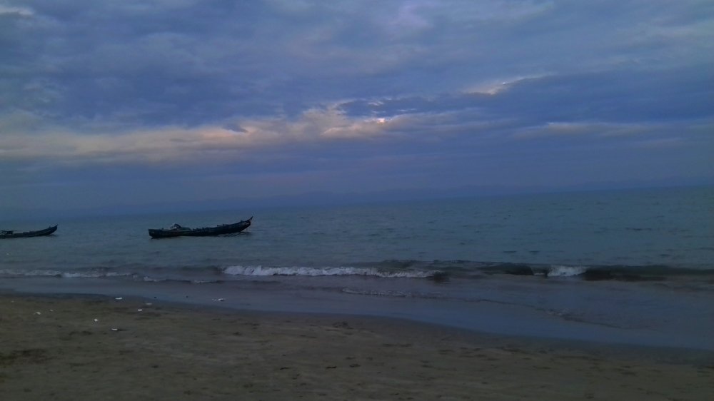 Photo #4703684