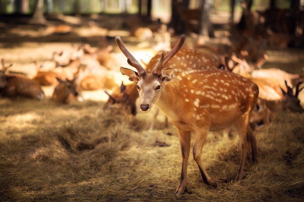 Photograph by Алёна Костюковец
