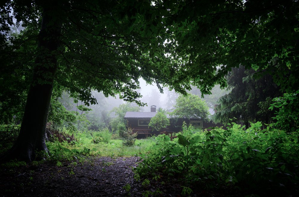 Photograph by Ladislav Szabó