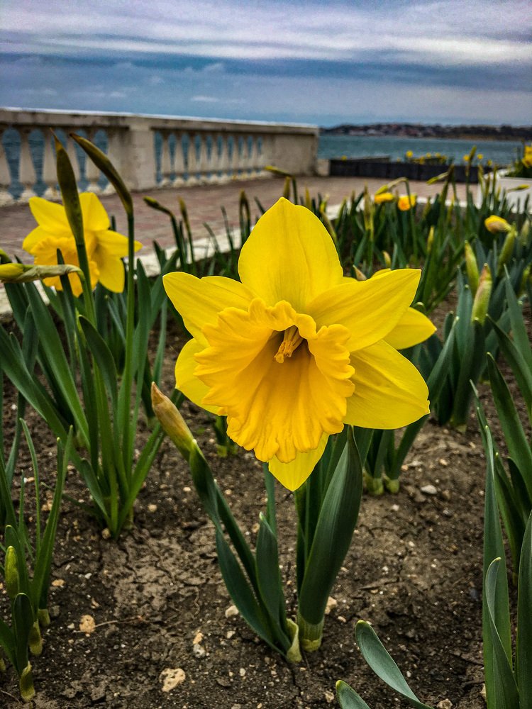 Photograph by Игорь Ляшко