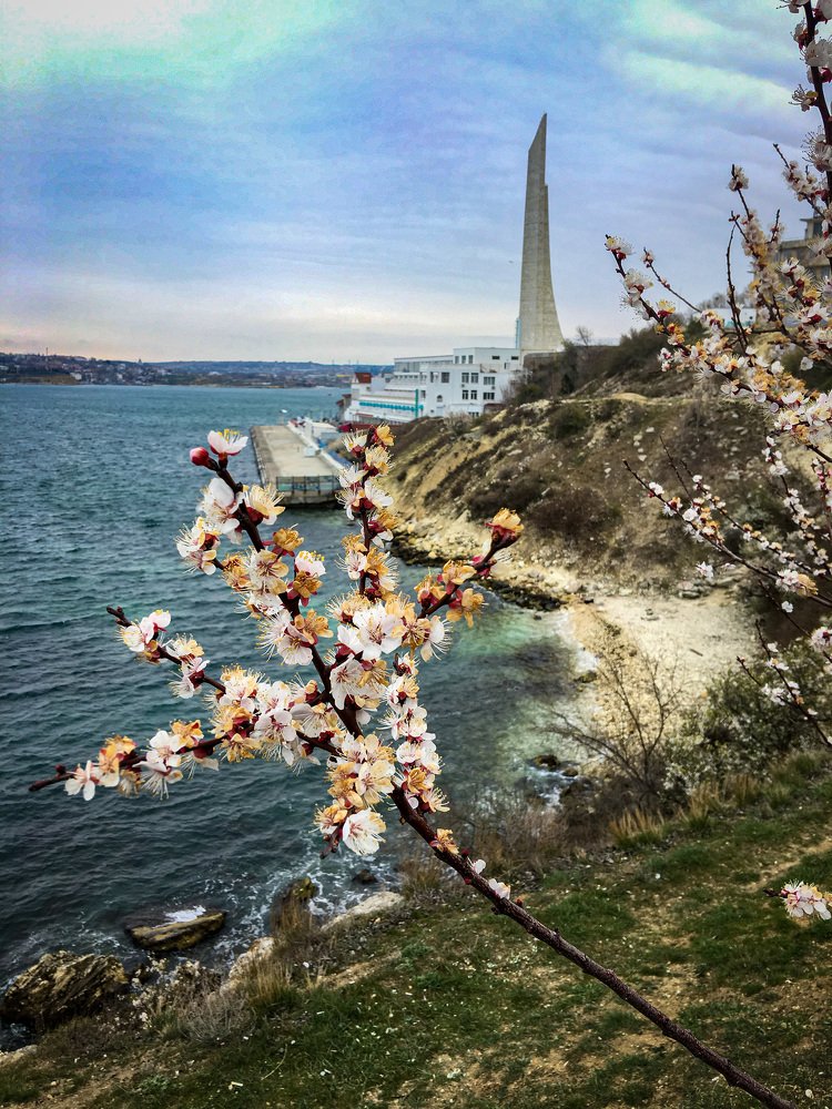 Photograph by Игорь Ляшко