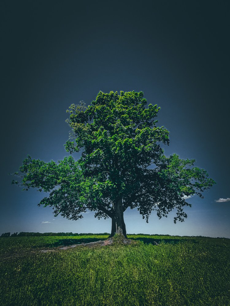 Побег из Шоушенка