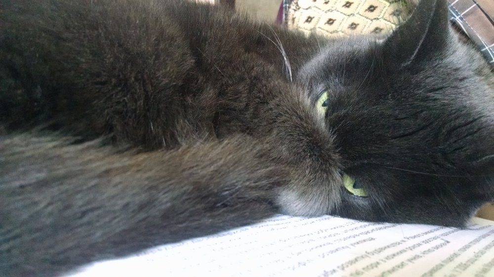 Photograph by Liudmyla Riaba