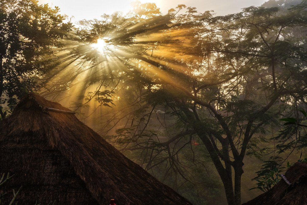 Photograph by Владимир Фирсов