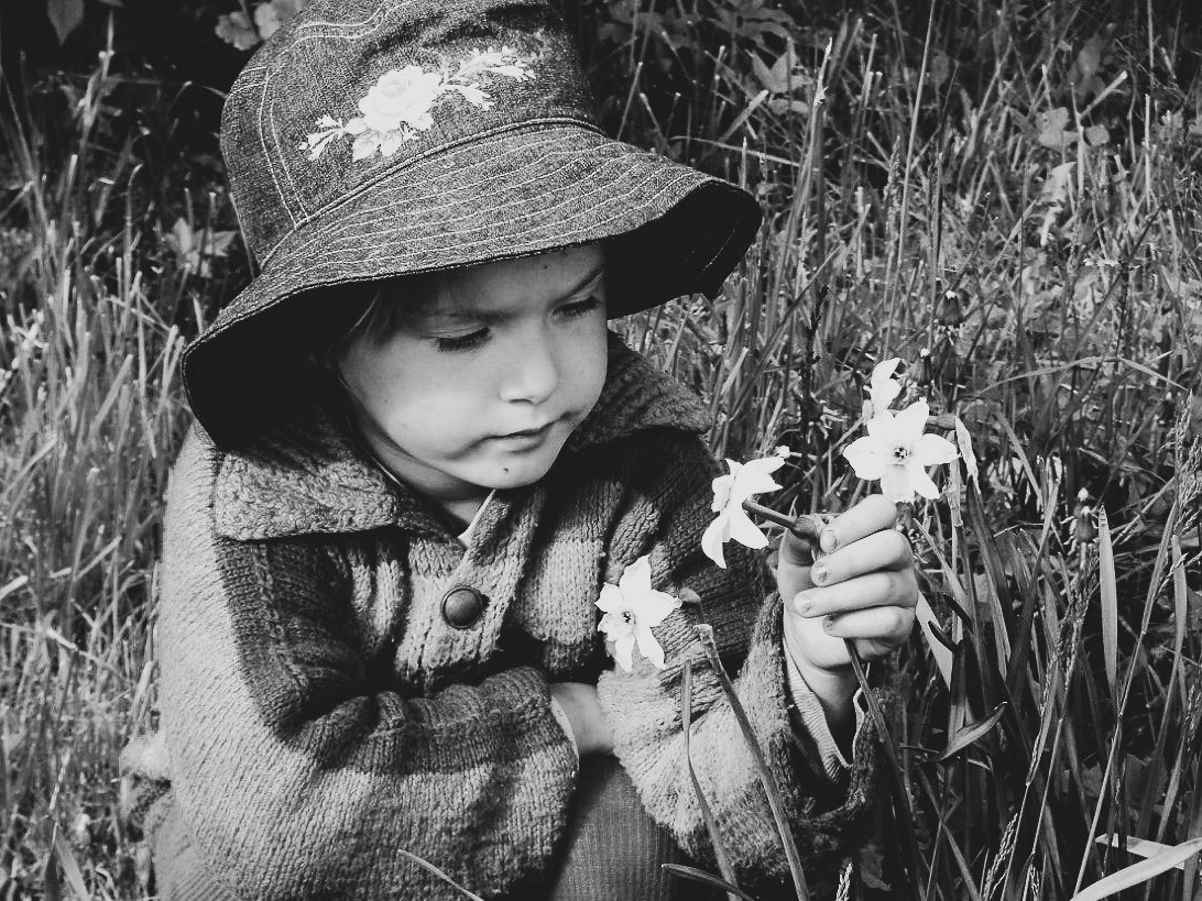 Photo #4703804