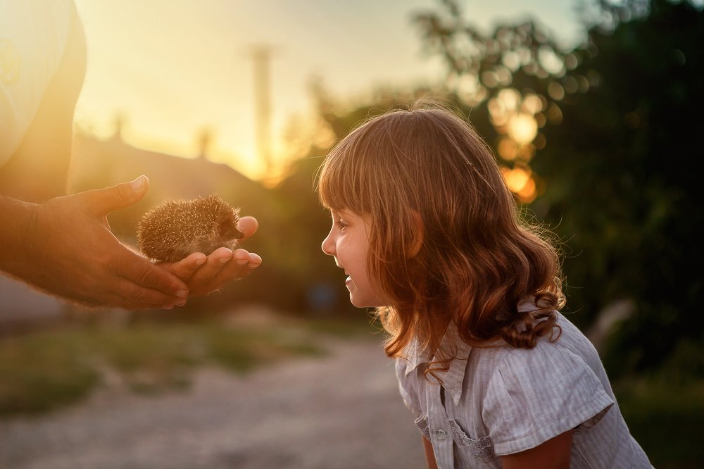 Знакомство