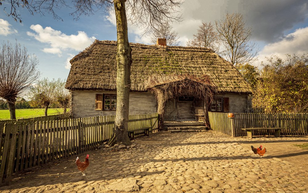 Photograph by Marek Zapart