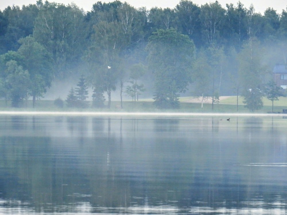 Photograph by ТАТЬЯНА КОНРАДИ