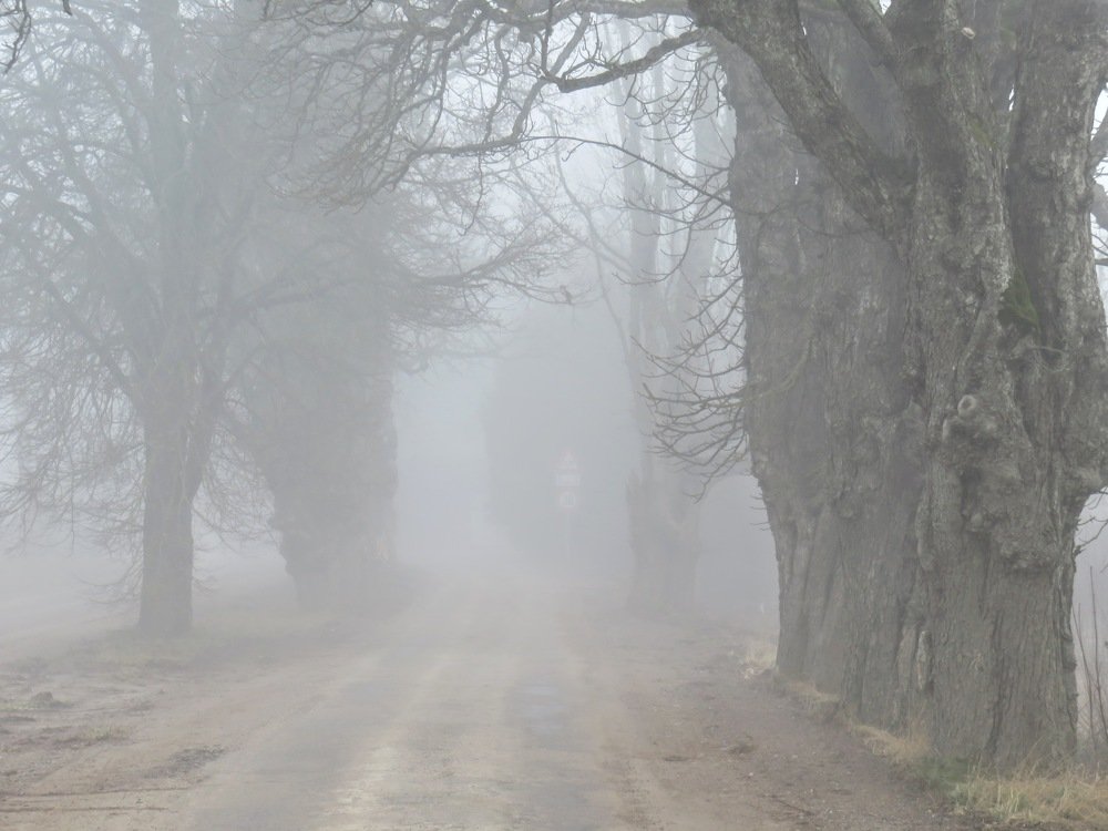 Photograph by ТАТЬЯНА КОНРАДИ