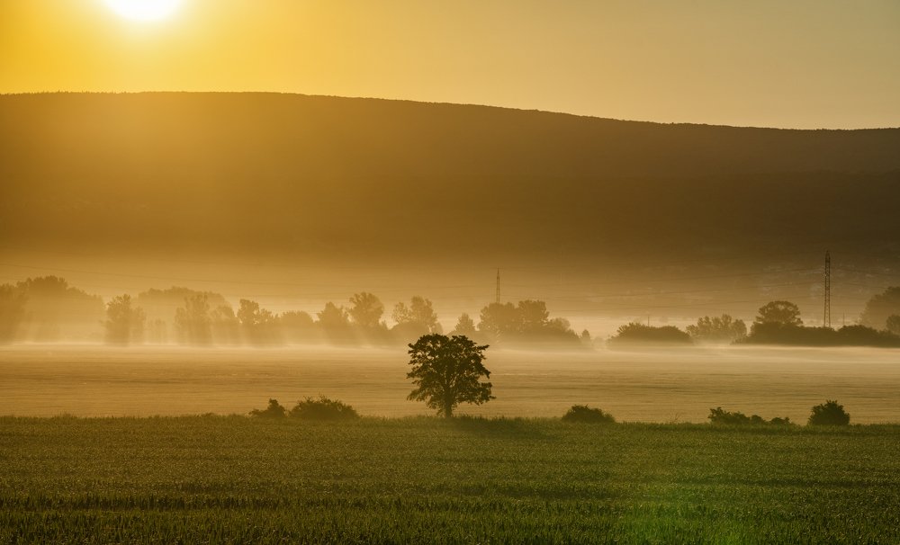 Photograph by Ladislav Szabó