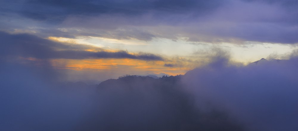 Photograph by Omar Caicedo