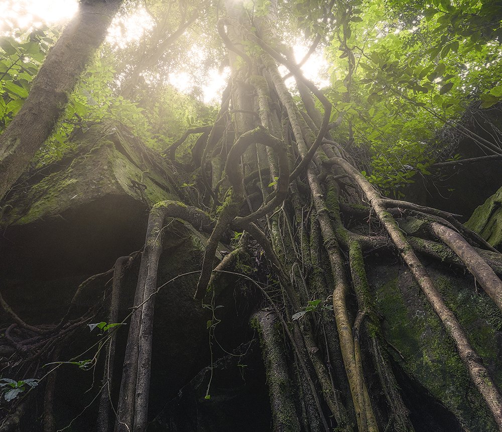 Photograph by Omar Caicedo