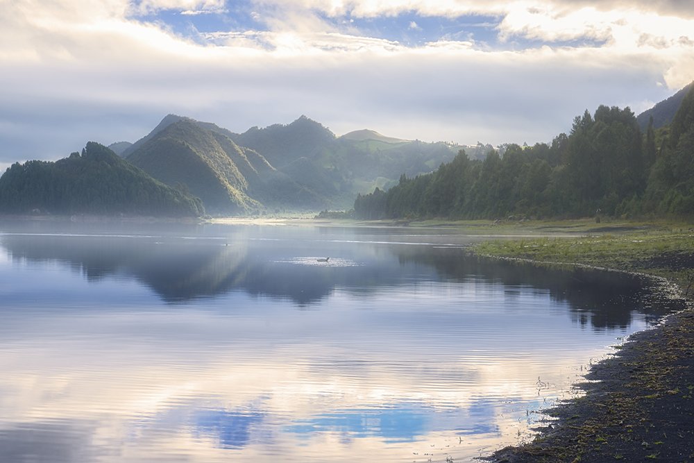 Photograph by Omar Caicedo