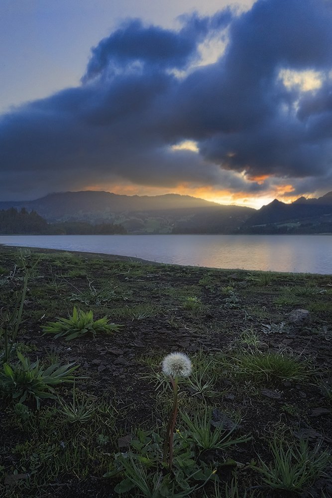 Photograph by Omar Caicedo