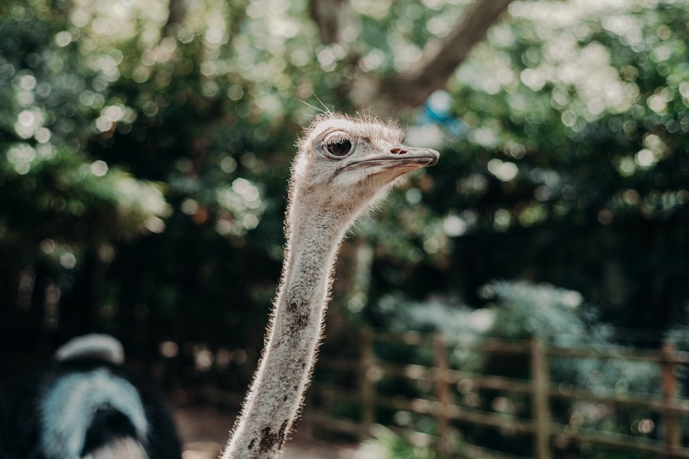 Photograph by Alexander Kovalenko