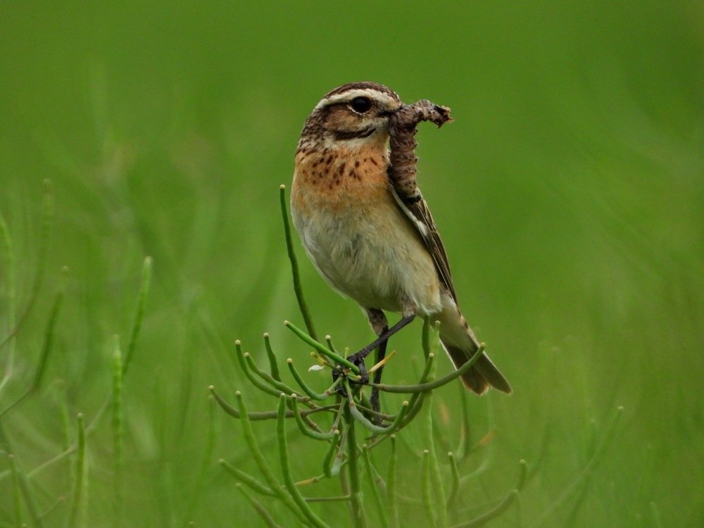 Photograph by ТАТЬЯНА КОНРАДИ