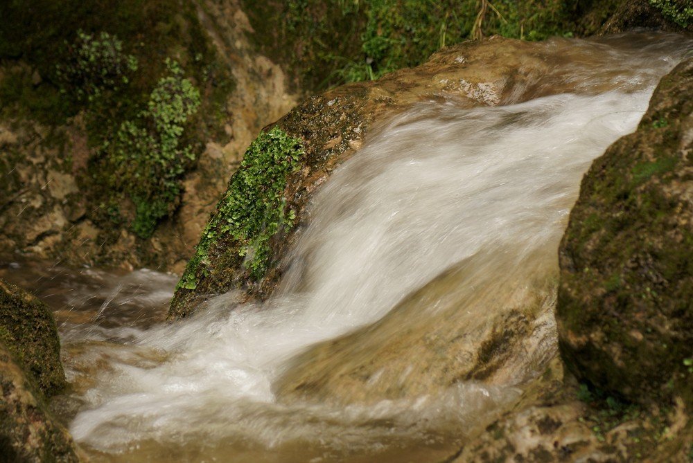 Photograph by Kálmán Rádai