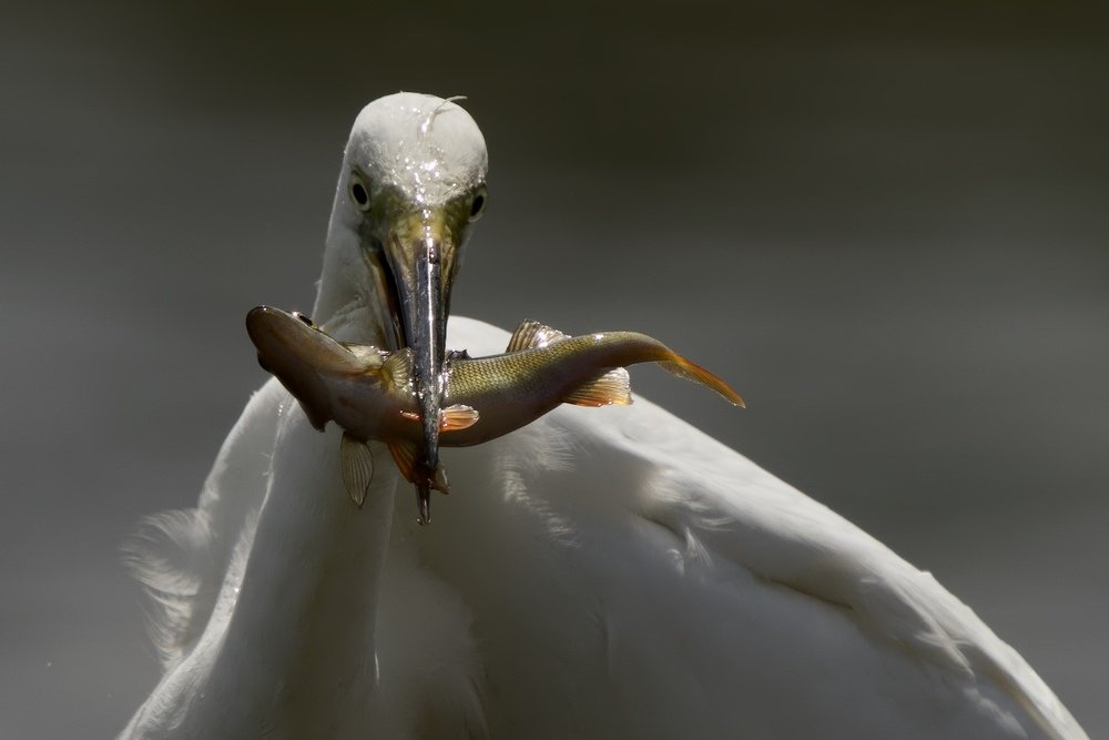 Photograph by Didzis Macs