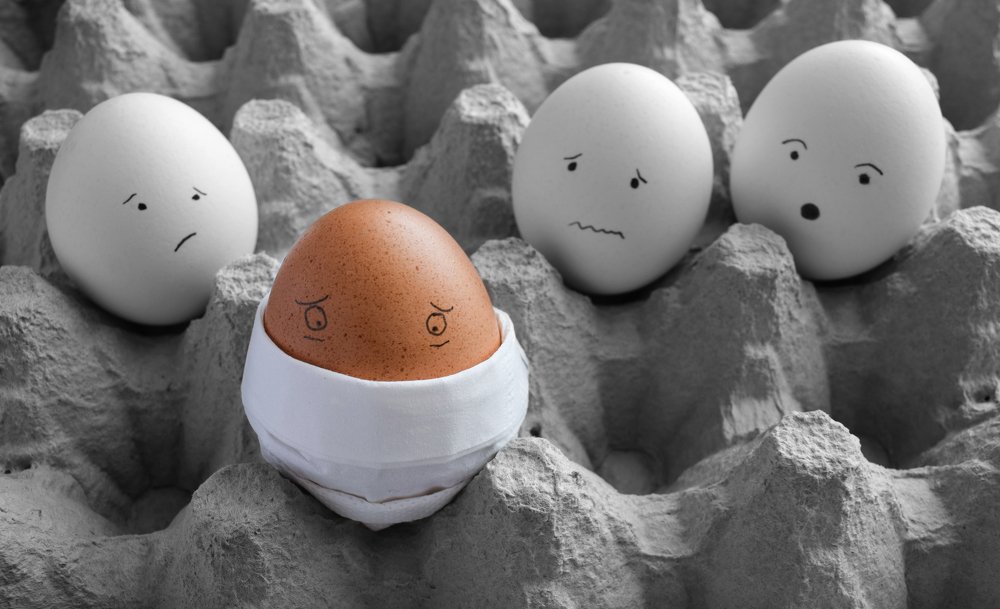 Photograph by Zidani insar