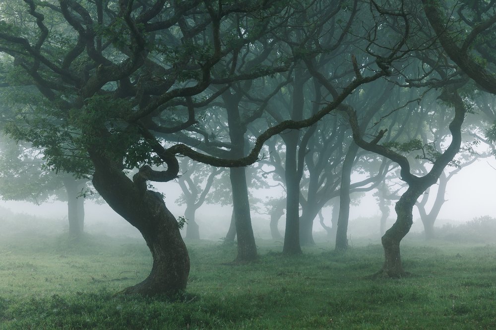 Photograph by ARTUR SZCZESZEK