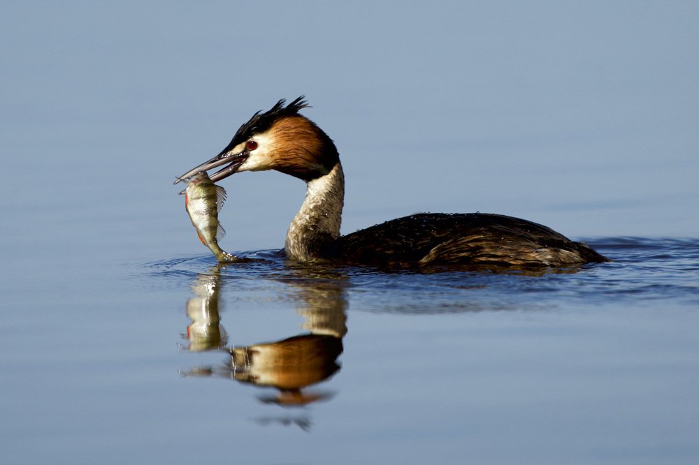 Photograph by Didzis Macs