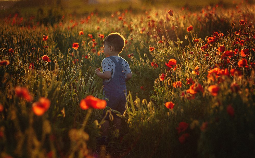 Photograph by Деева Елена