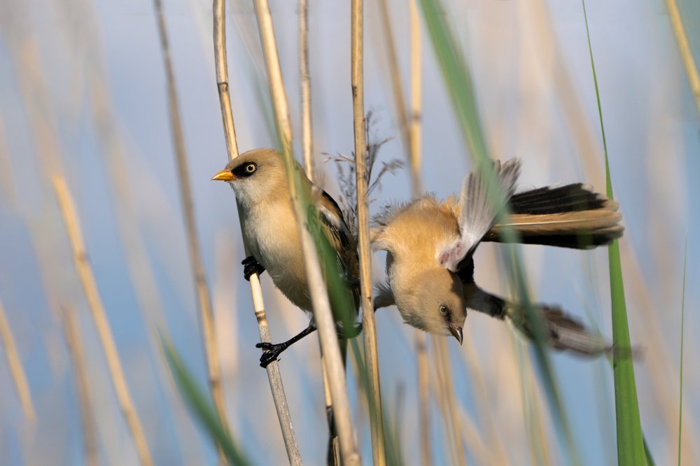 Photograph by Viktor Makarov