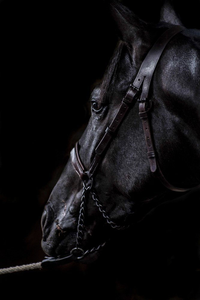 Фотография автора Jesus Frias