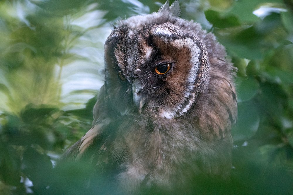 Photograph by Viktor Makarov