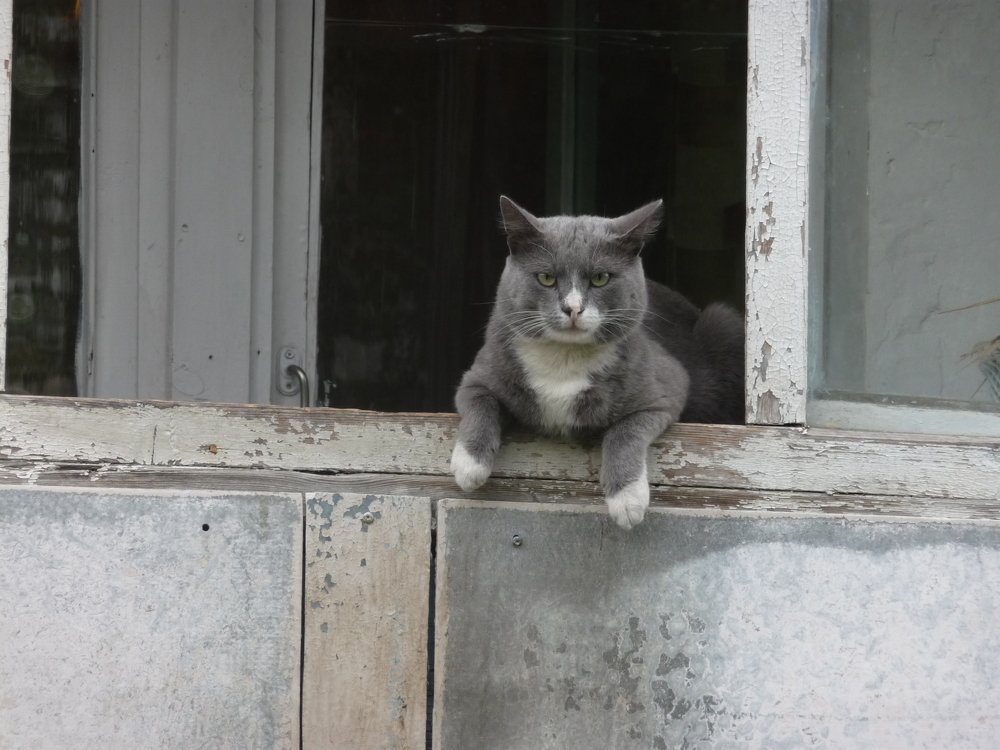 Фотография автора Клавдия Васильева