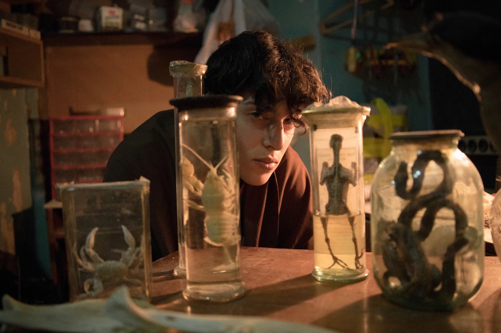 Photograph by Рамина Бочарова