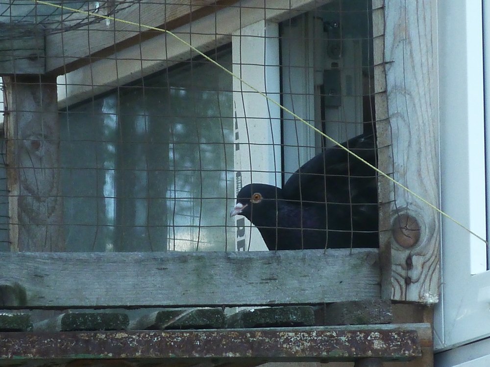 Фотография автора Клавдия Васильева