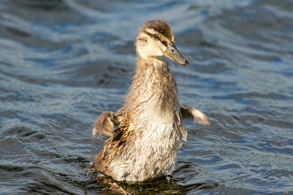 Photograph by Илья Тильман