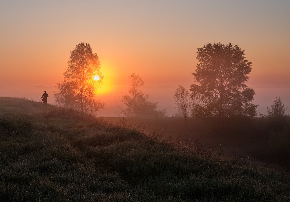 В погоне за туманом