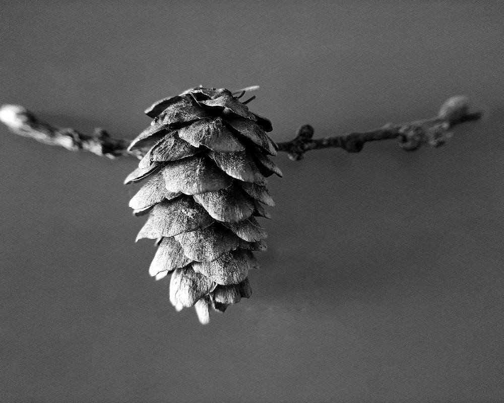 Photograph by Ирина Иванова