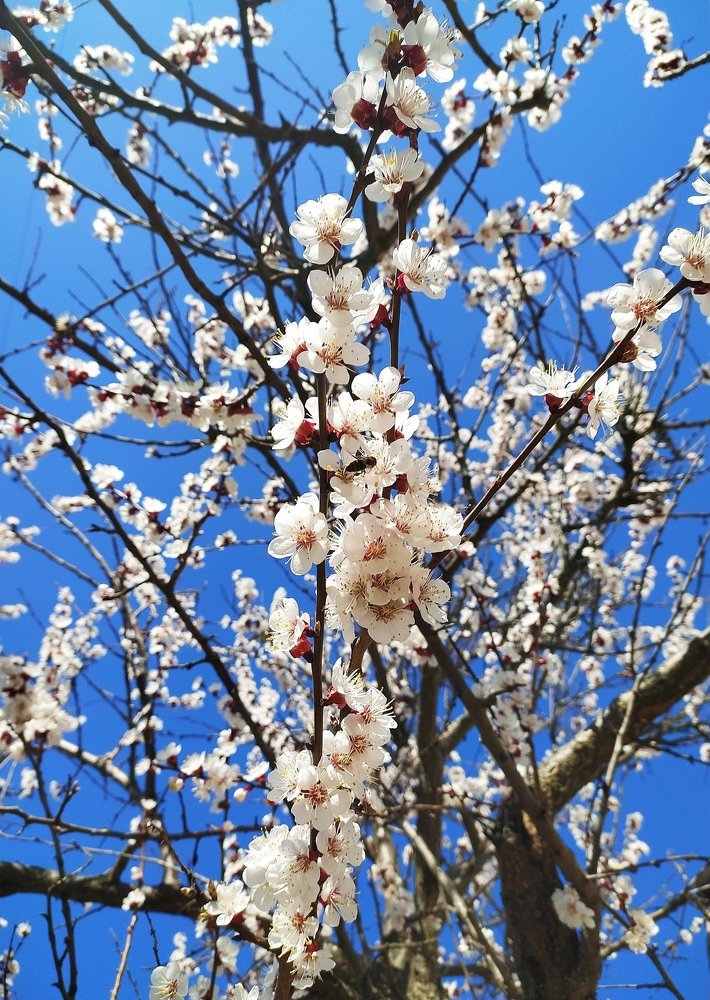 Photograph by Надежда Трунова