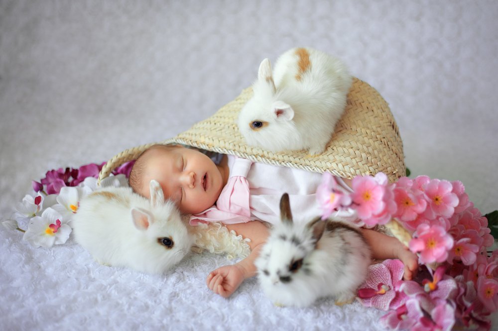 Photograph by Анастасия Алексеева