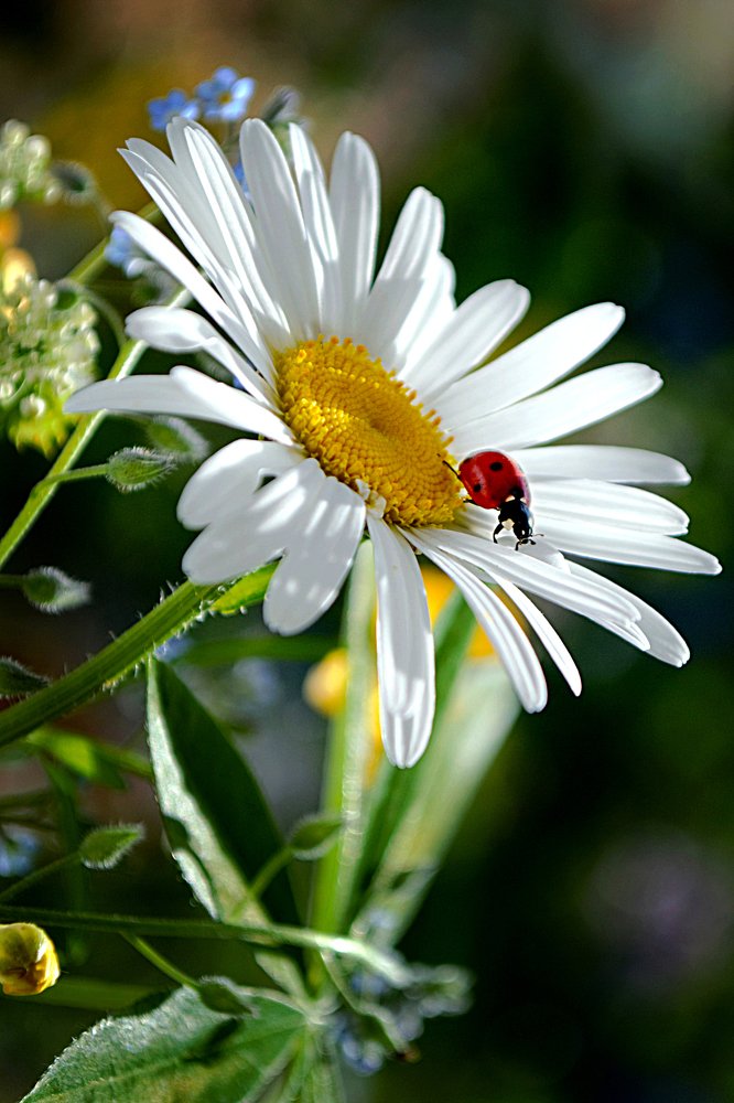 Photograph by Александра Коновалова