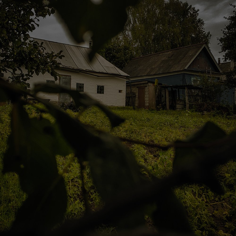 Photo #4704574