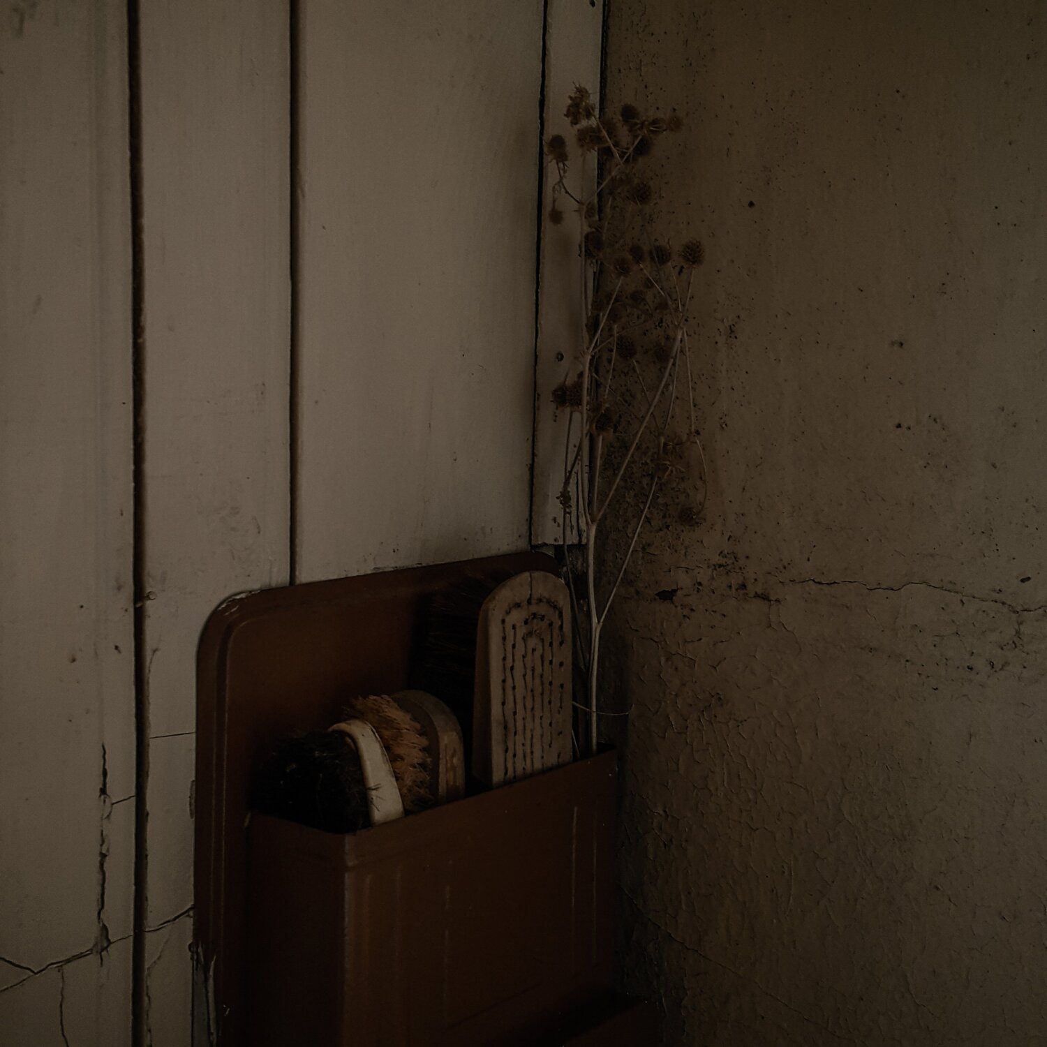Photo #4704575