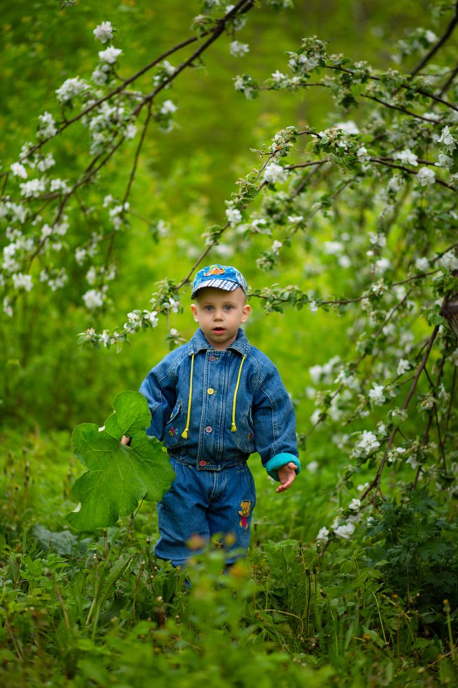 Photograph by Виктория Бобылева