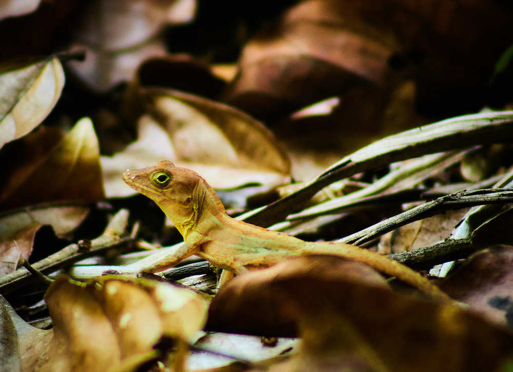 Photograph by José Luis Pascual Jiménez